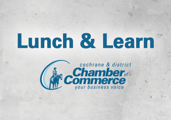 Lunch and Learn Cover